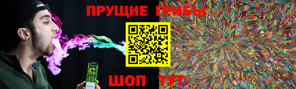 Калач-на-Дону  Псилоцибиновые грибы GOLDEN TEACHER  Псилоцибиновые грибы мицелий  Вход с VPN 
