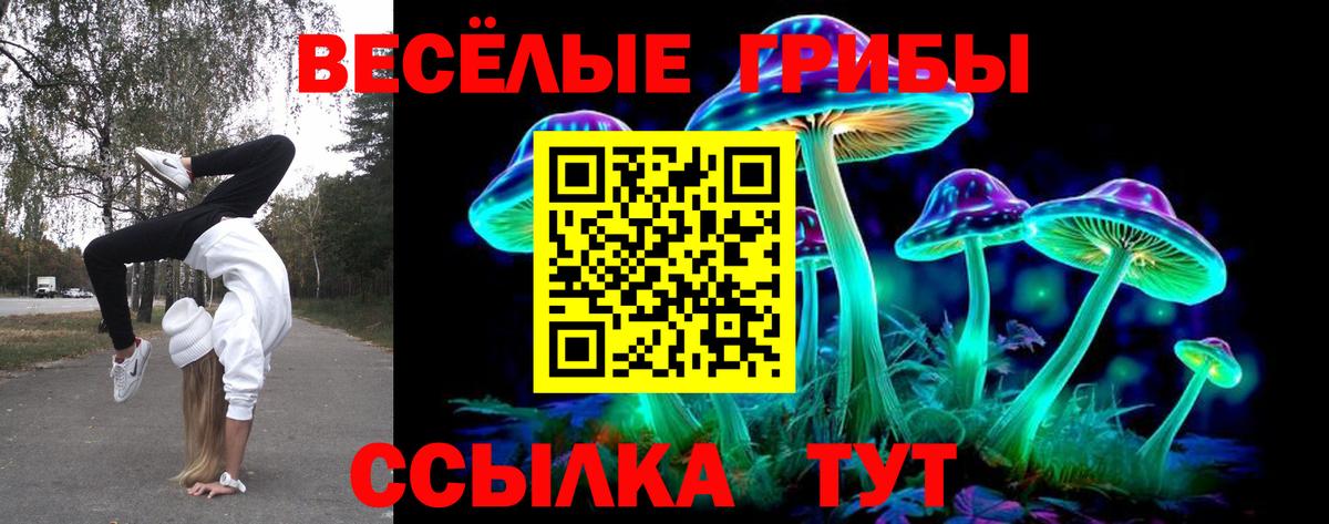Галлюциногенные грибы прущие грибы Калач-на-Дону