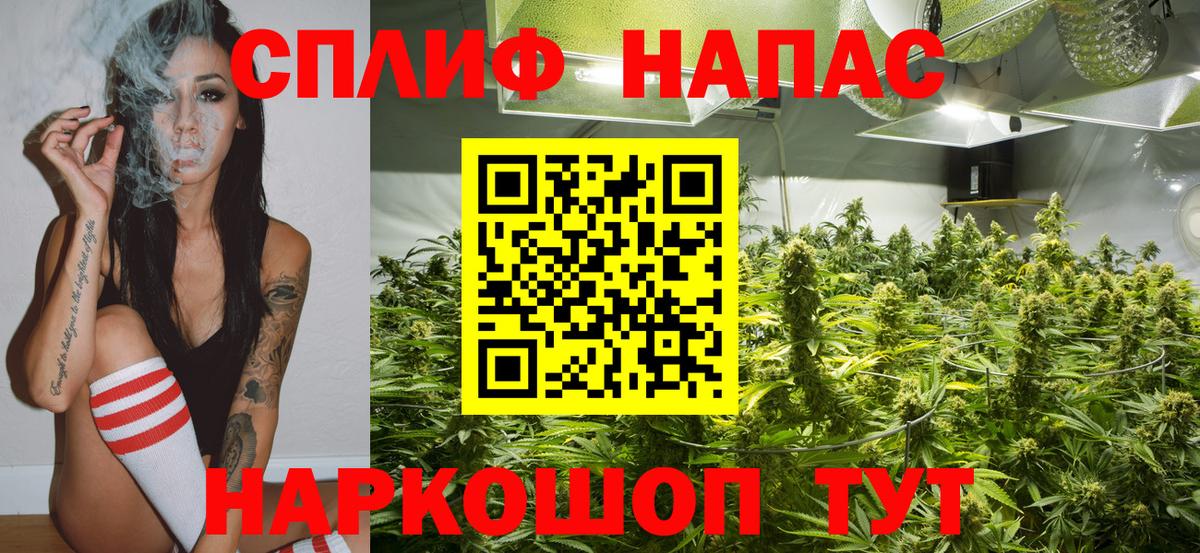 МАРИХУАНА семена Калач-на-Дону